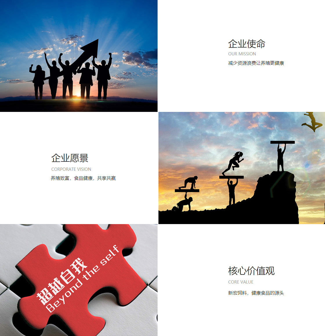 XKTY.COM星空(图1)